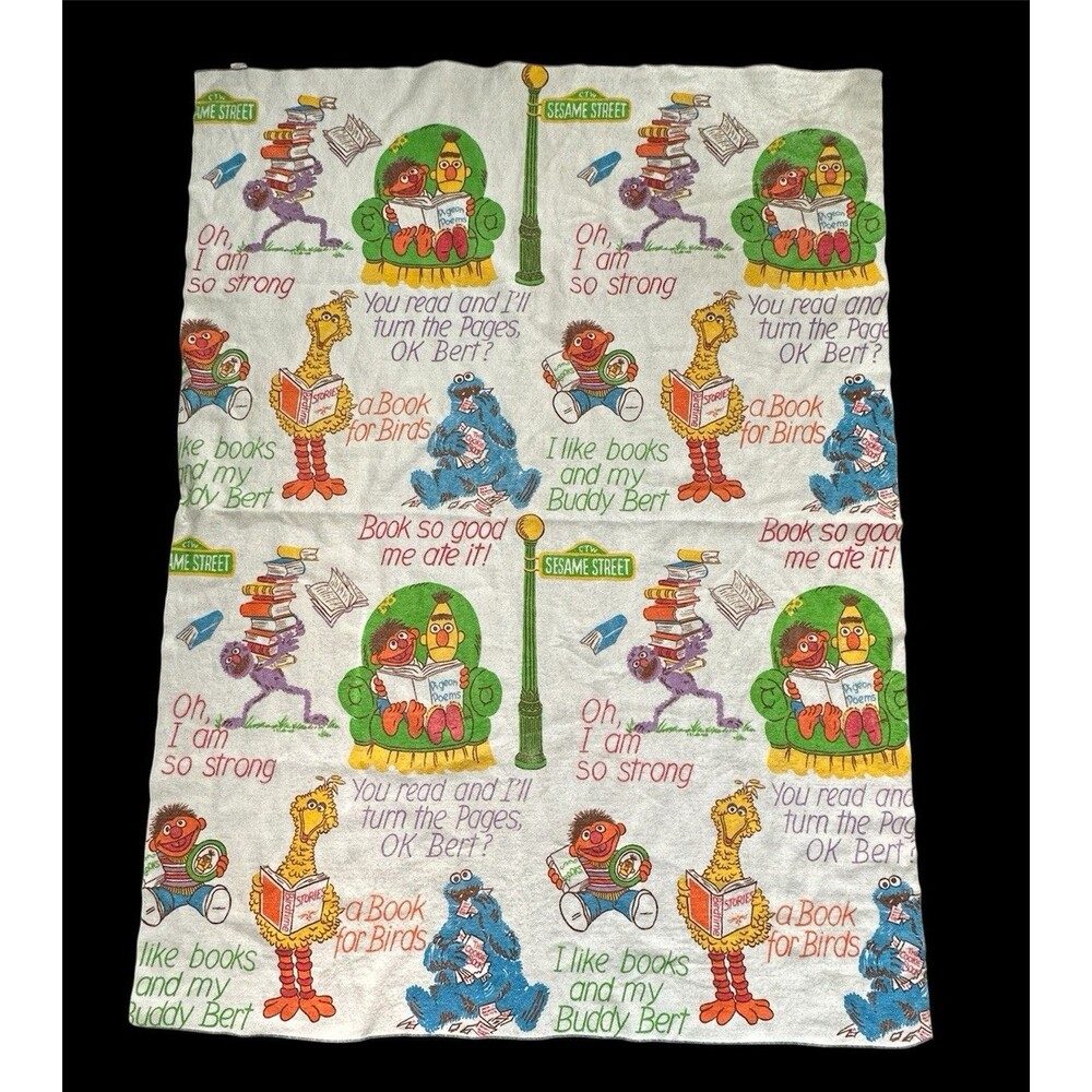 Vintage Chatham Sesame Street Blanket  Reading Books 63x86 Muppets Big Bird Bert